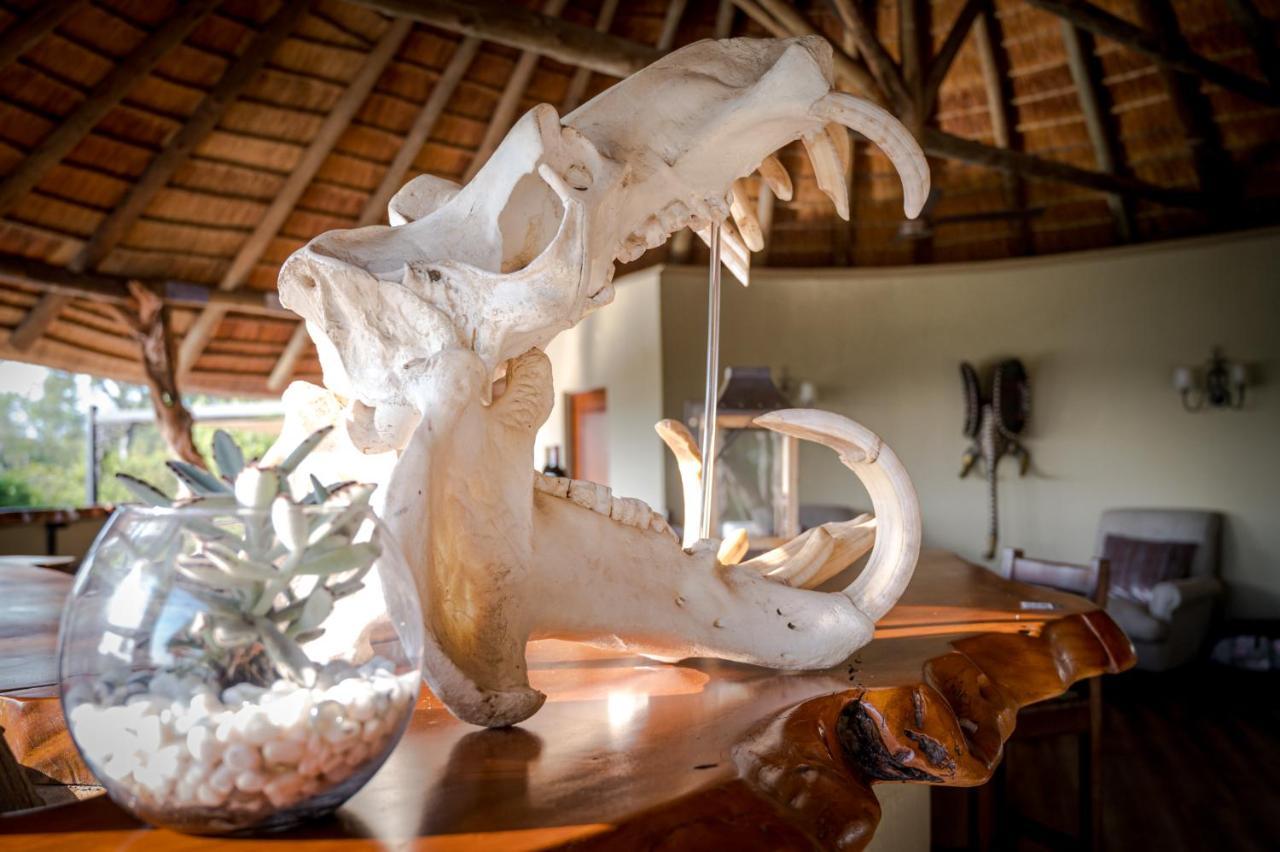 Kambaku River Sands Timbavati Game Reserve Exterior foto