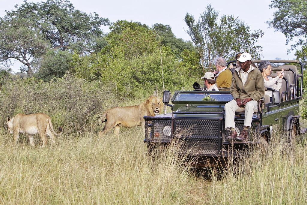 Kambaku River Sands Timbavati Game Reserve Exterior foto