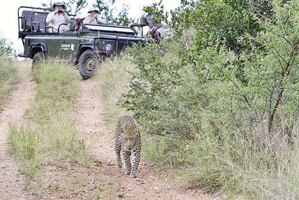 Kambaku River Sands Timbavati Game Reserve Exterior foto