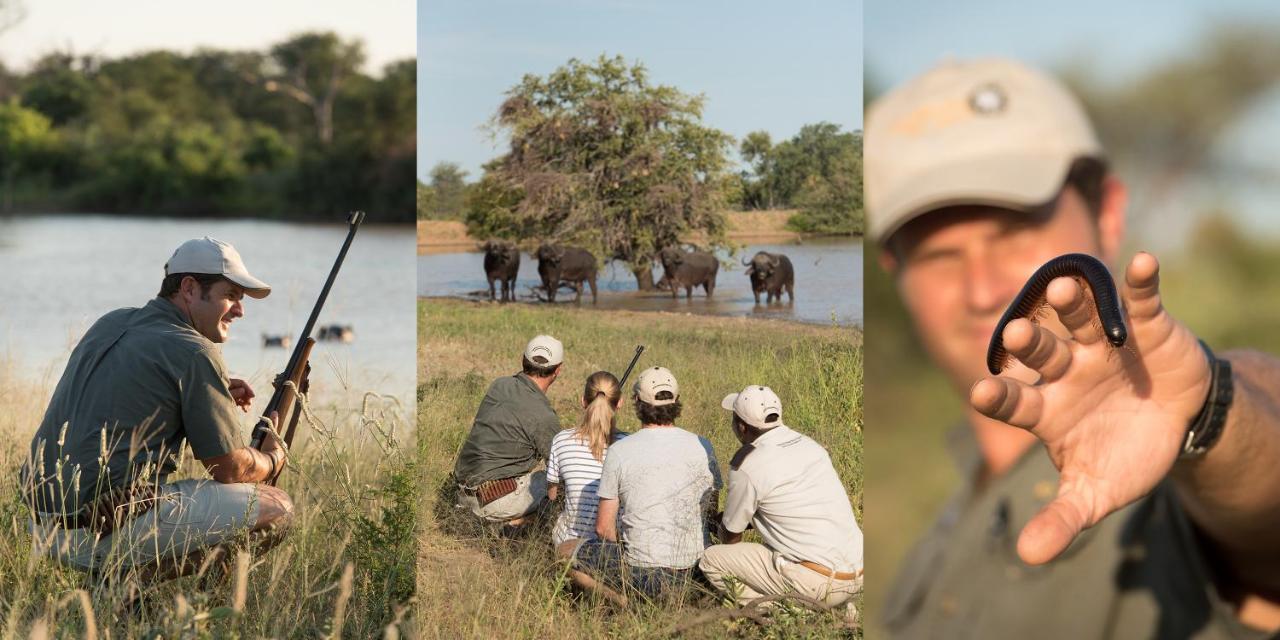 Kambaku River Sands Timbavati Game Reserve Exterior foto
